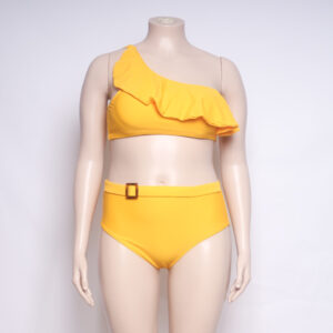 plus size two piece swimsuit