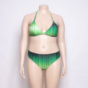 plus size two piece swimsuits